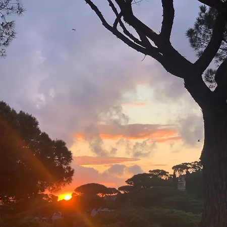 Apartment La Pinede *